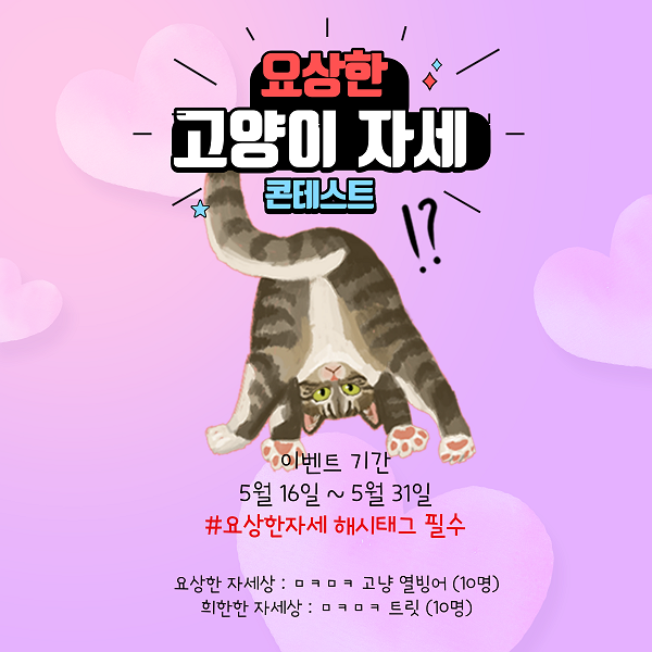 요상한 고양이 자세 콘테스트-poster